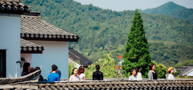 2017年大不同学院课程盘点，其实这是一个八卦帖！